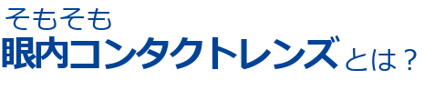 そもそもICLとは？