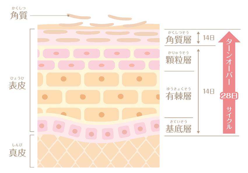 ダイアグラム

            中程度の精度で自動的に生成された説明